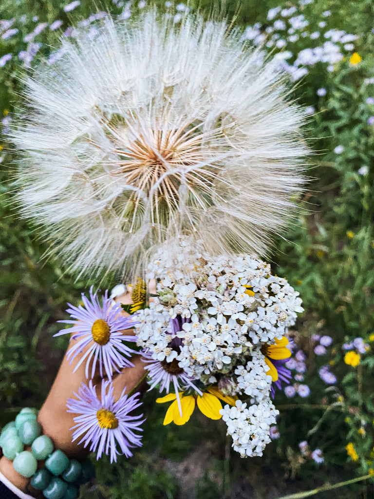 Softening the Fire: Tending to Summer's Heat with the Water Element
