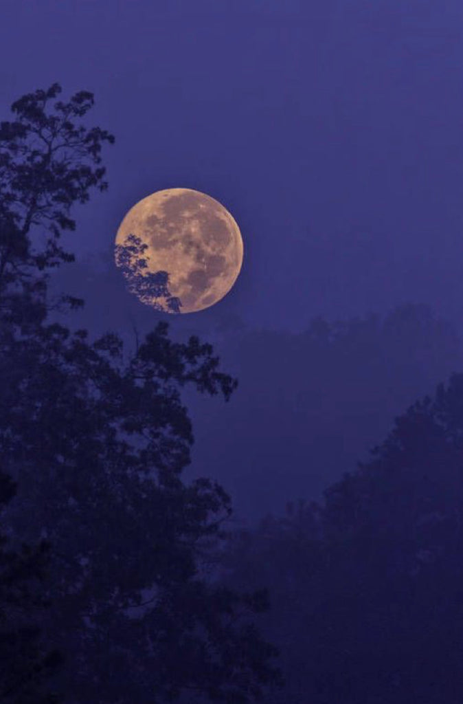 How To Do A Full Moon Ritual